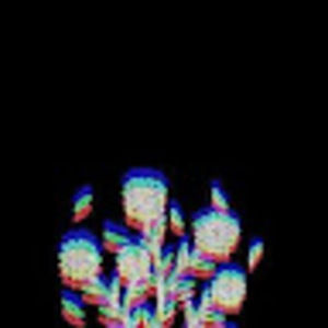 Meet your Posher, Jaydin